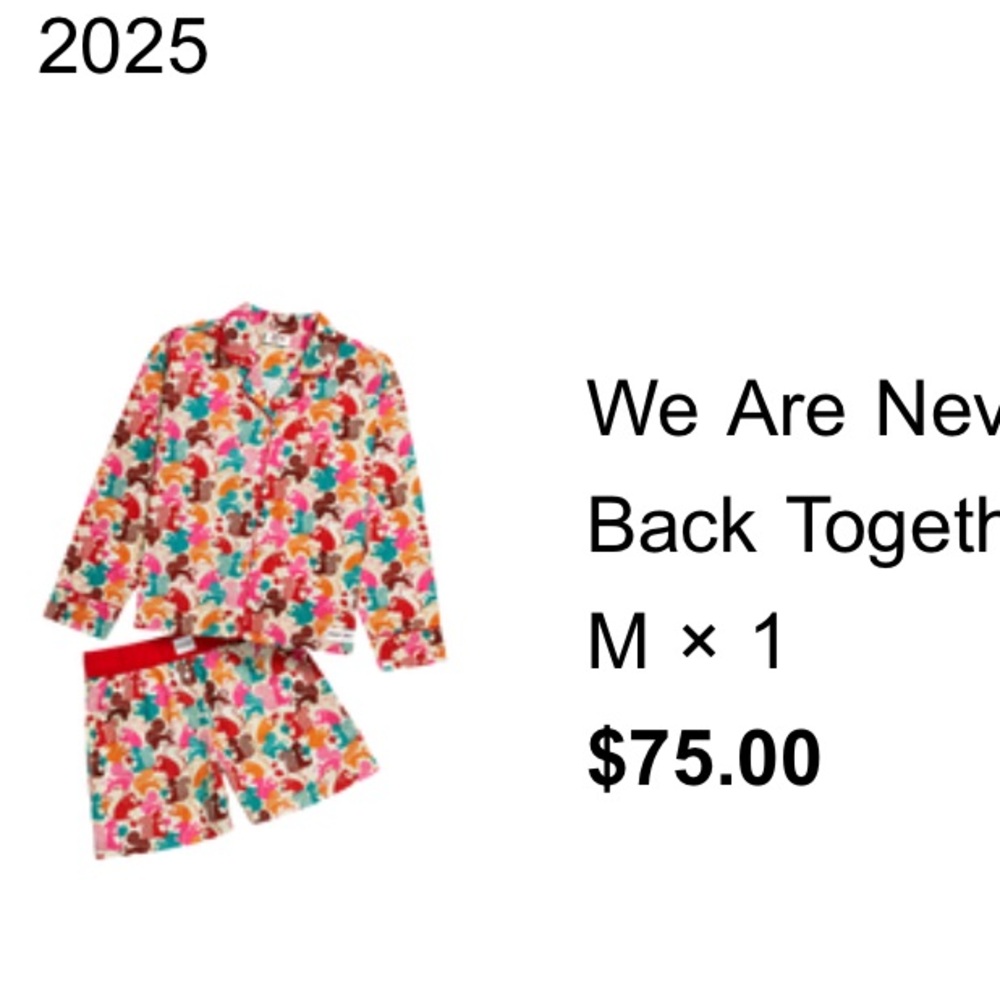 Taylor Swift We Are Never Getting Back Together PJ Squirrel Set Size M